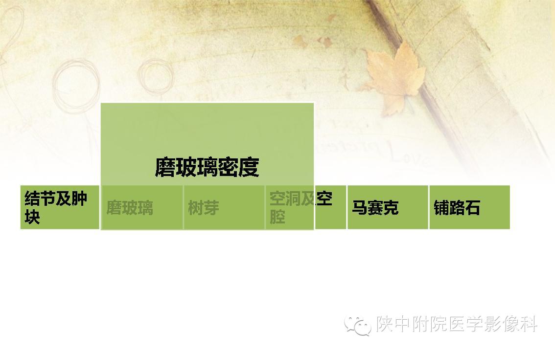 【PPT】胸部常见疾病的CT基本征象