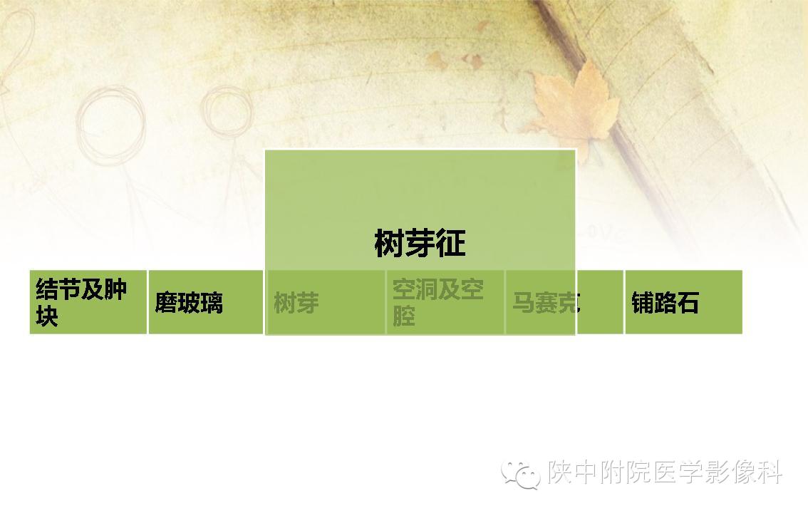 【PPT】胸部常见疾病的CT基本征象