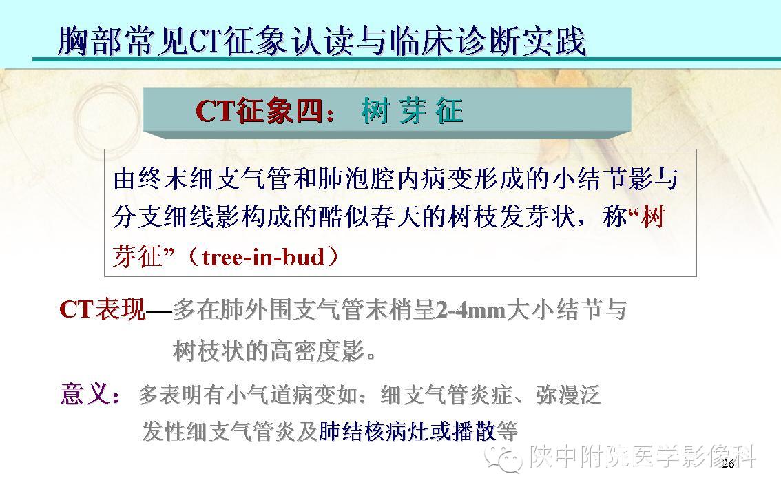 【PPT】胸部常见疾病的CT基本征象