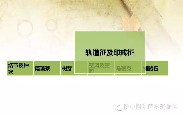 【PPT】胸部常见疾病的CT基本征象