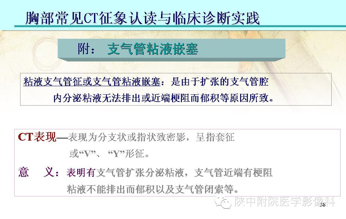 【PPT】胸部常见疾病的CT基本征象