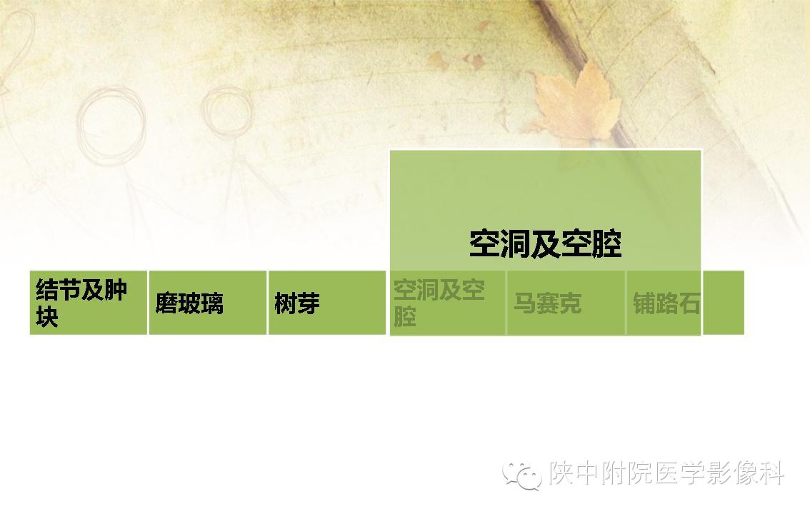 【PPT】胸部常见疾病的CT基本征象