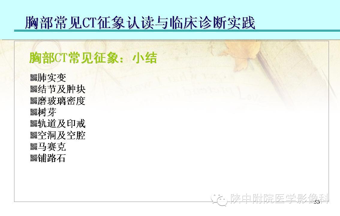 【PPT】胸部常见疾病的CT基本征象