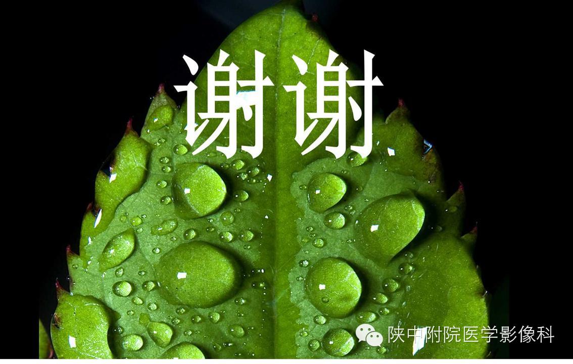 【PPT】胸部常见疾病的CT基本征象