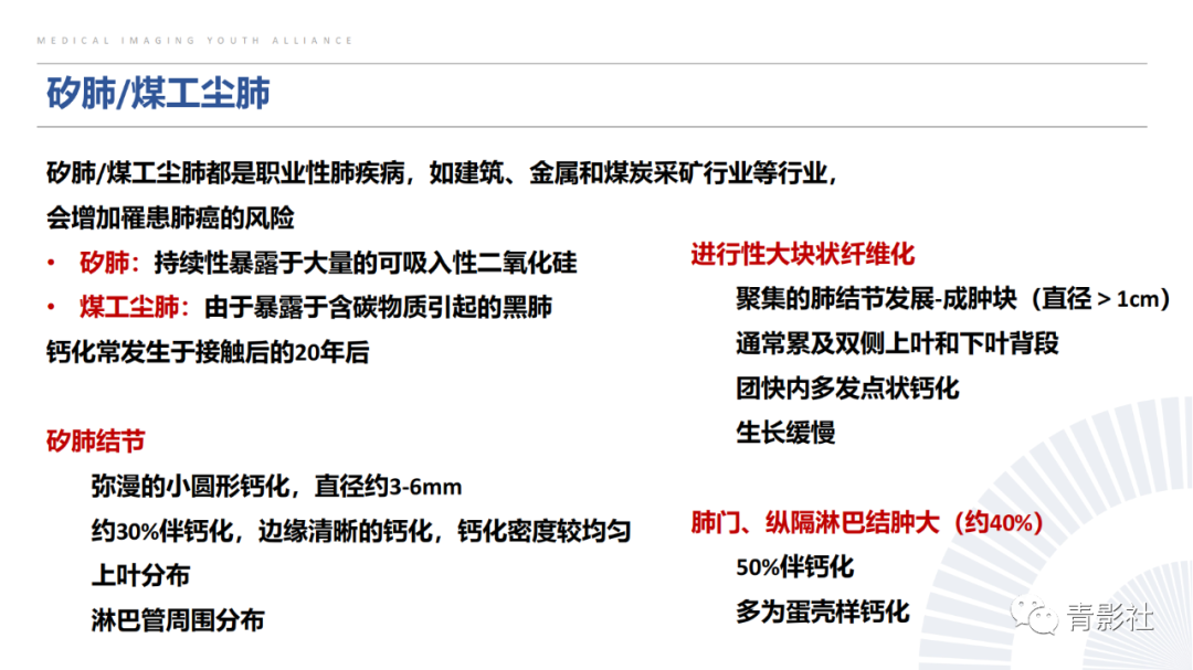 【PPT】胸部钙化临床意义和疾病谱-15