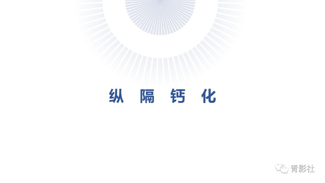 【PPT】胸部钙化临床意义和疾病谱-23