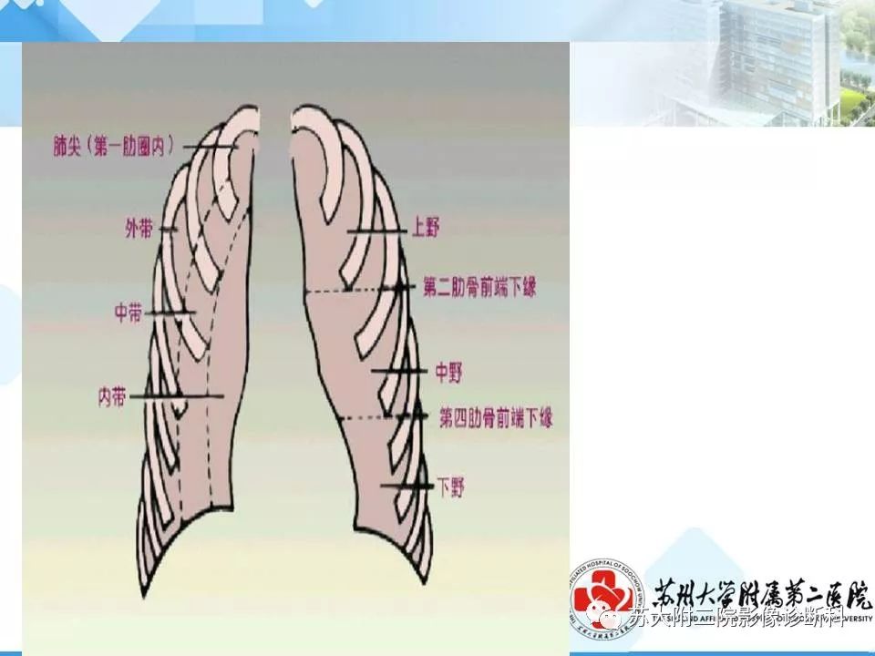 【PPT】胸部X线平片的漏诊陷阱-15