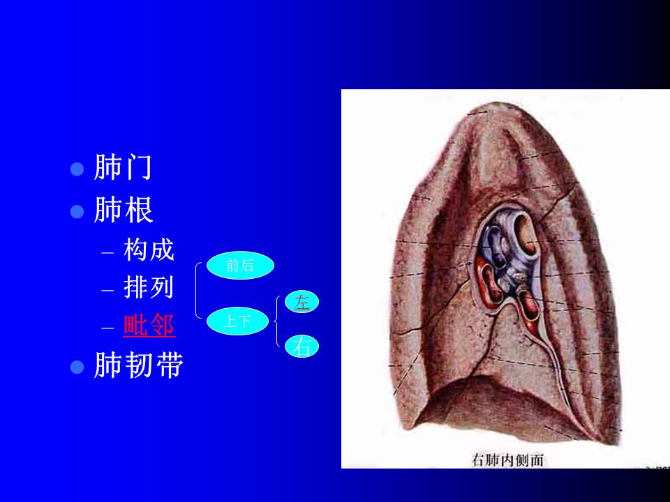 幻灯片6