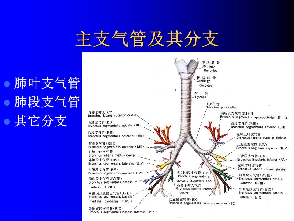幻灯片8