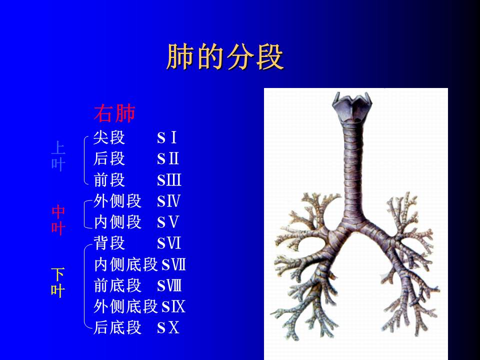 幻灯片9