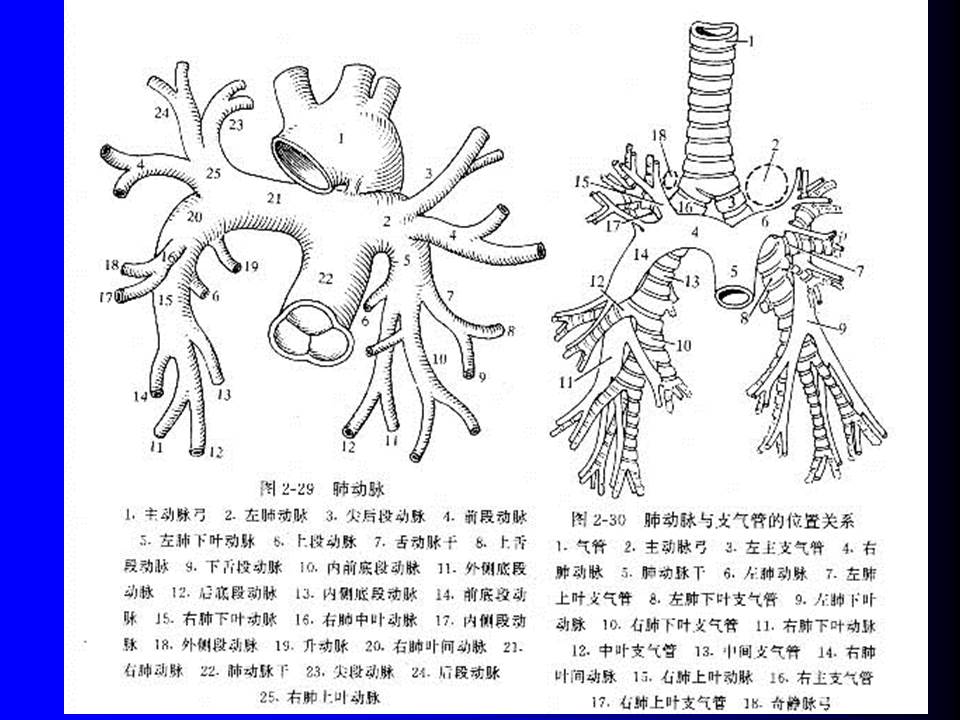 幻灯片47