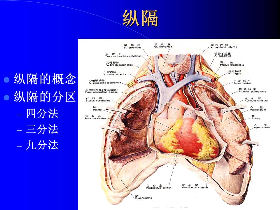 幻灯片53