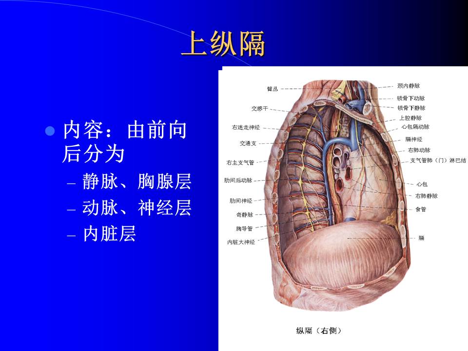 幻灯片55