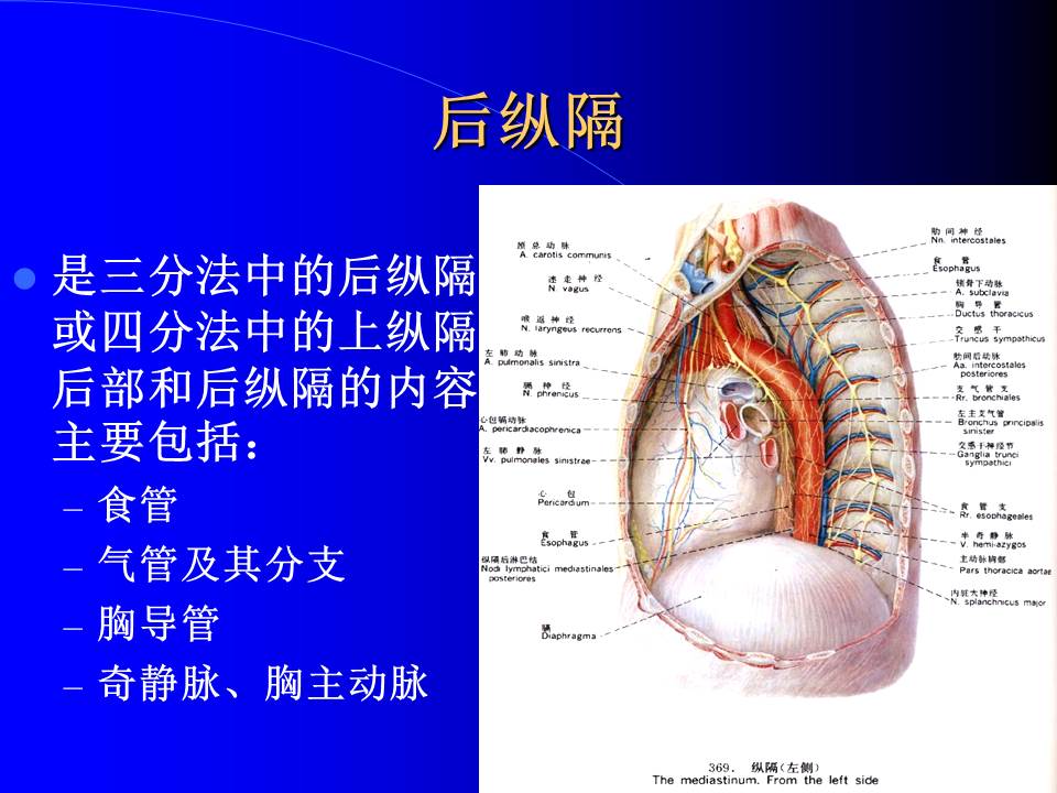 幻灯片56