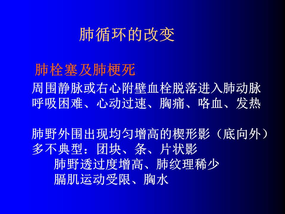 幻灯片75