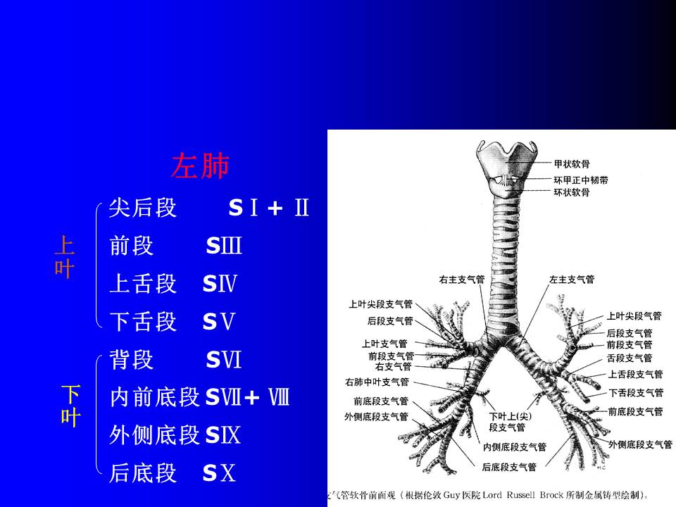 幻灯片10
