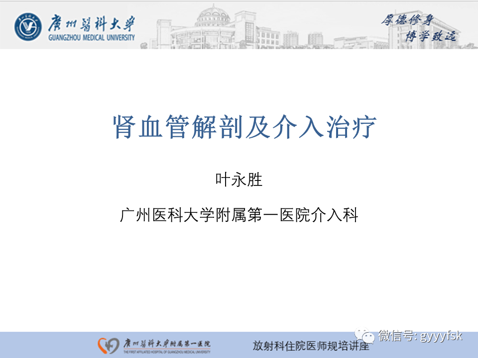 【PPT】肾血管解剖及介入治疗-1