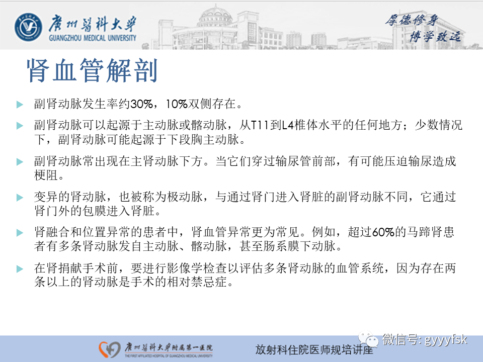 【PPT】肾血管解剖及介入治疗-3