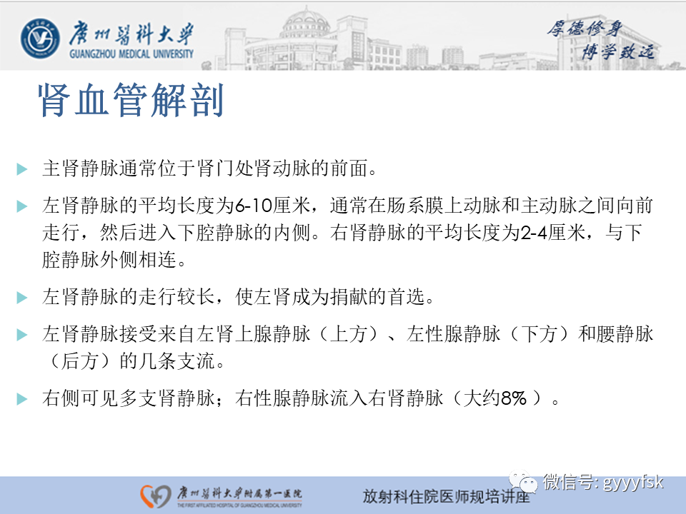 【PPT】肾血管解剖及介入治疗-5