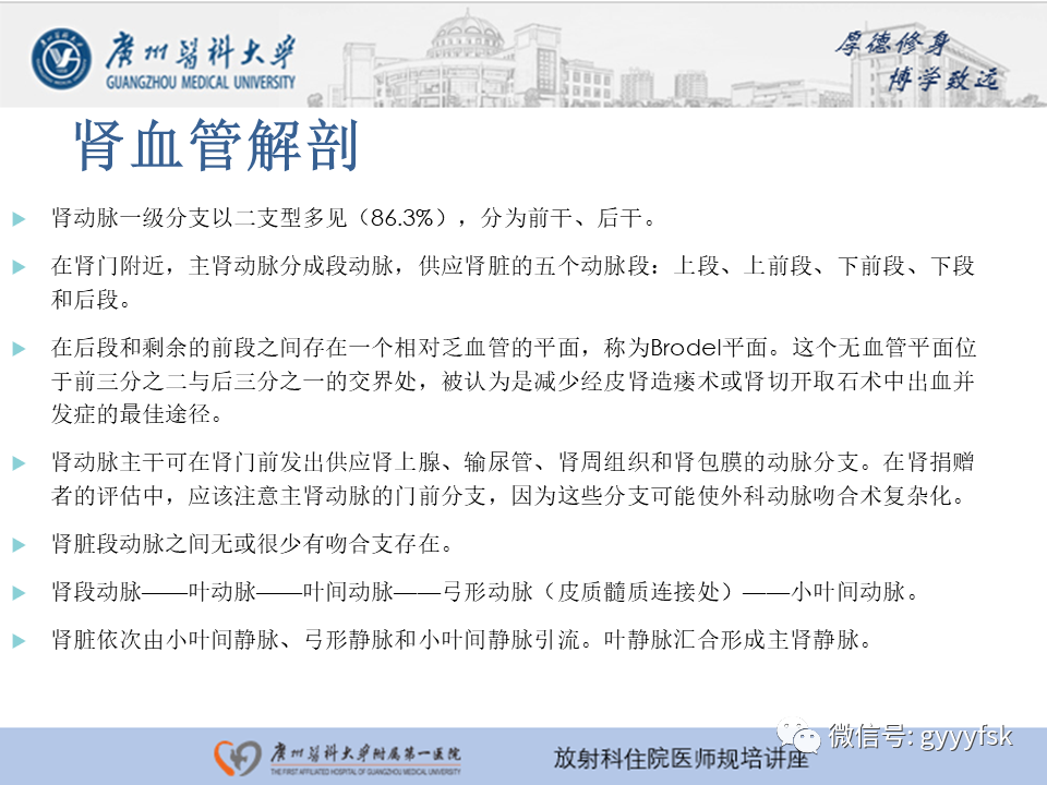 【PPT】肾血管解剖及介入治疗-4