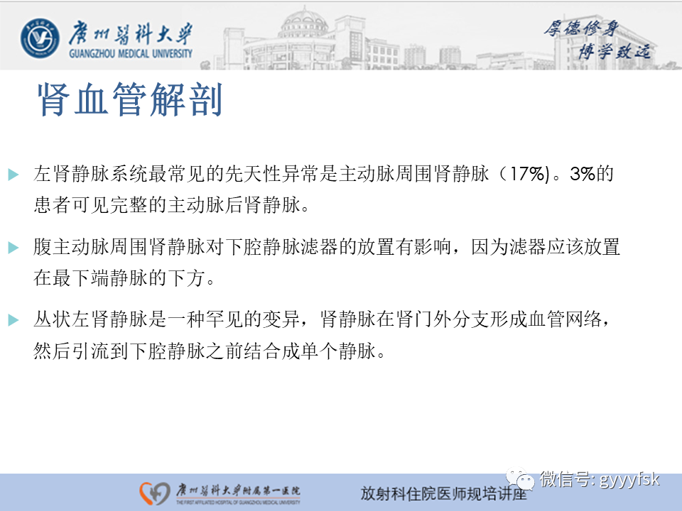 【PPT】肾血管解剖及介入治疗-6