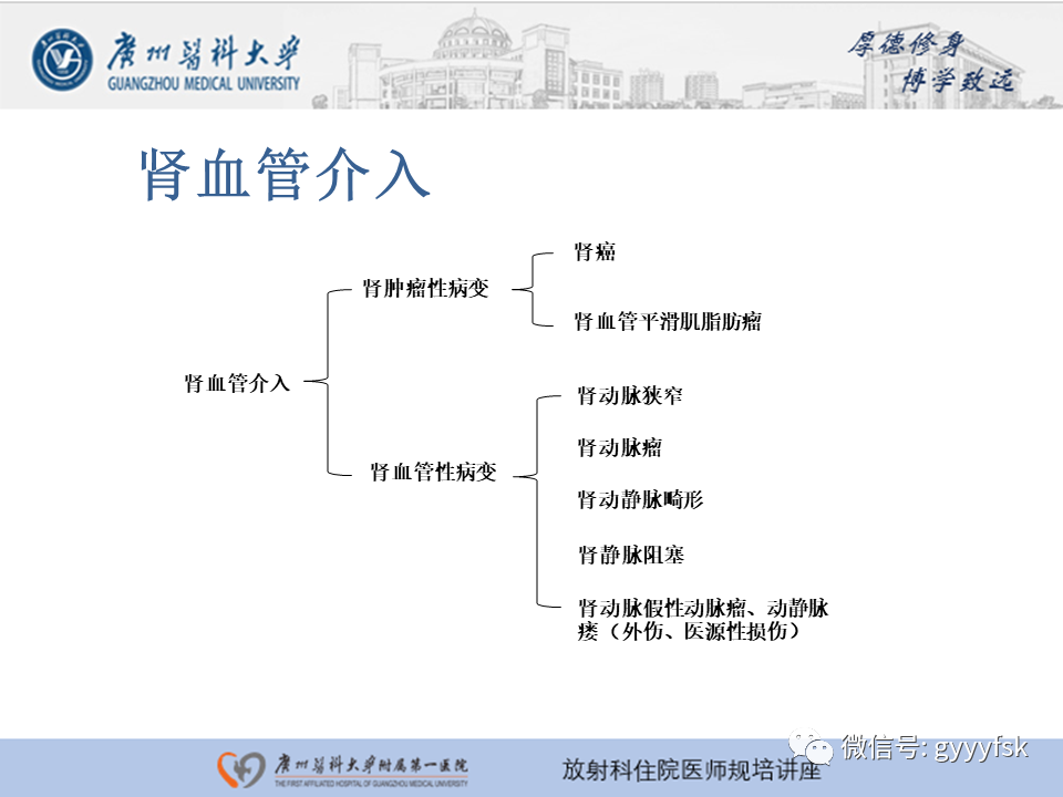 【PPT】肾血管解剖及介入治疗-10