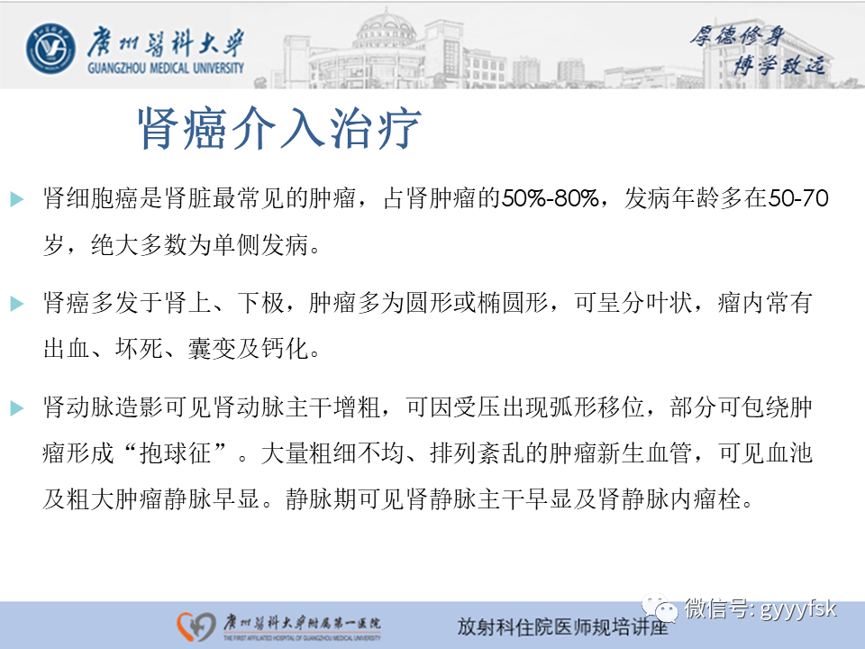 【PPT】肾血管解剖及介入治疗-11