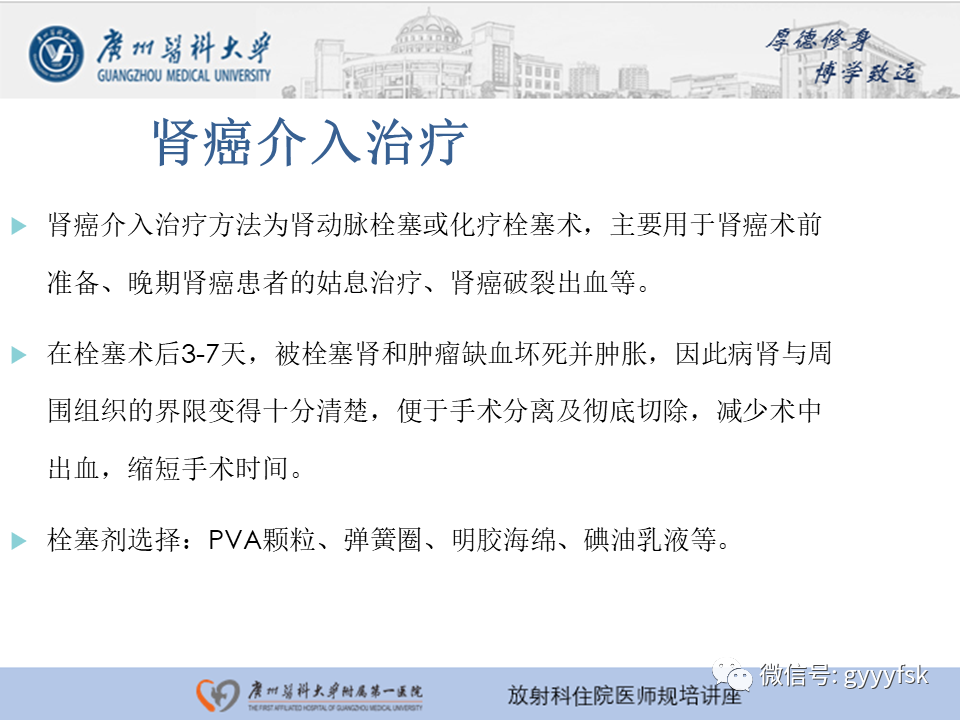 【PPT】肾血管解剖及介入治疗-12