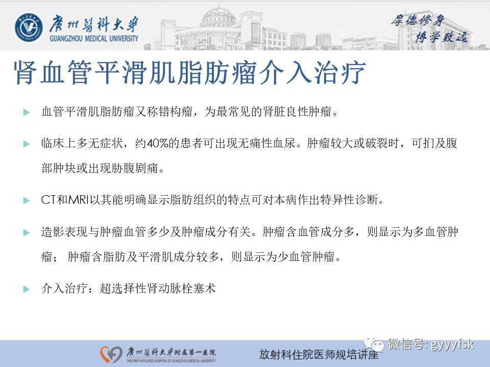 【PPT】肾血管解剖及介入治疗-16