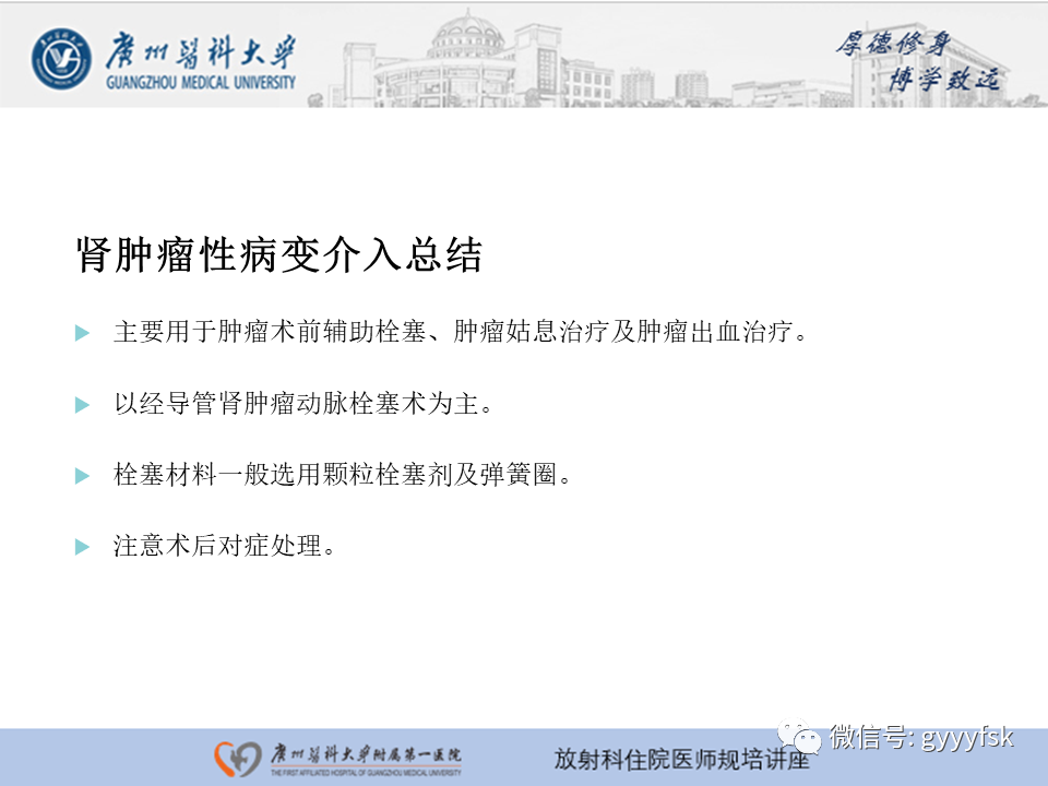 【PPT】肾血管解剖及介入治疗-20