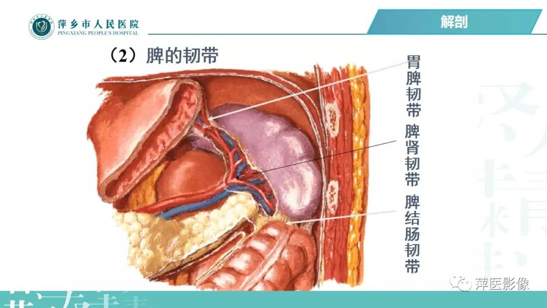 【PPT】腹腔游离气体-19