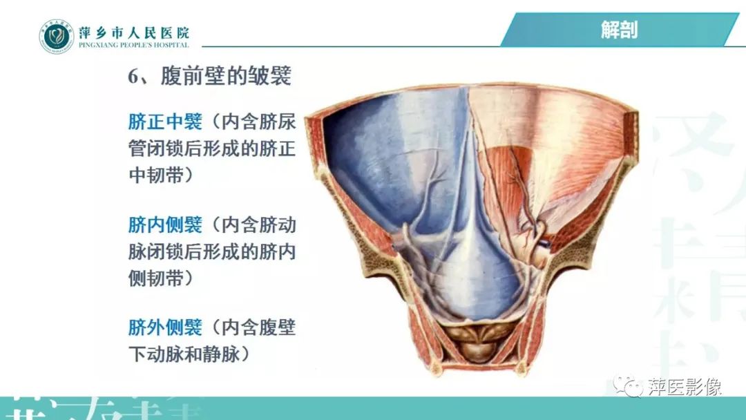 【PPT】腹腔游离气体-24