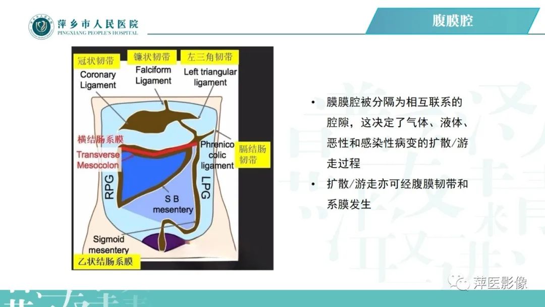 【PPT】腹腔游离气体-27