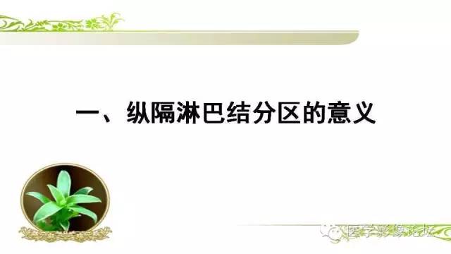 【PPT】胸内（纵隔）淋巴结分区速记-3