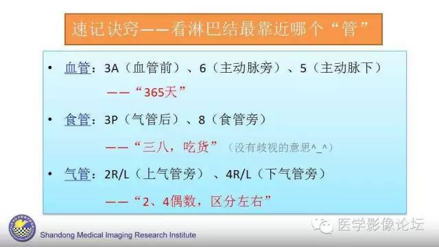 【PPT】胸内（纵隔）淋巴结分区速记-16