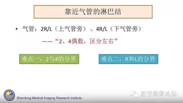 【PPT】胸内（纵隔）淋巴结分区速记-19