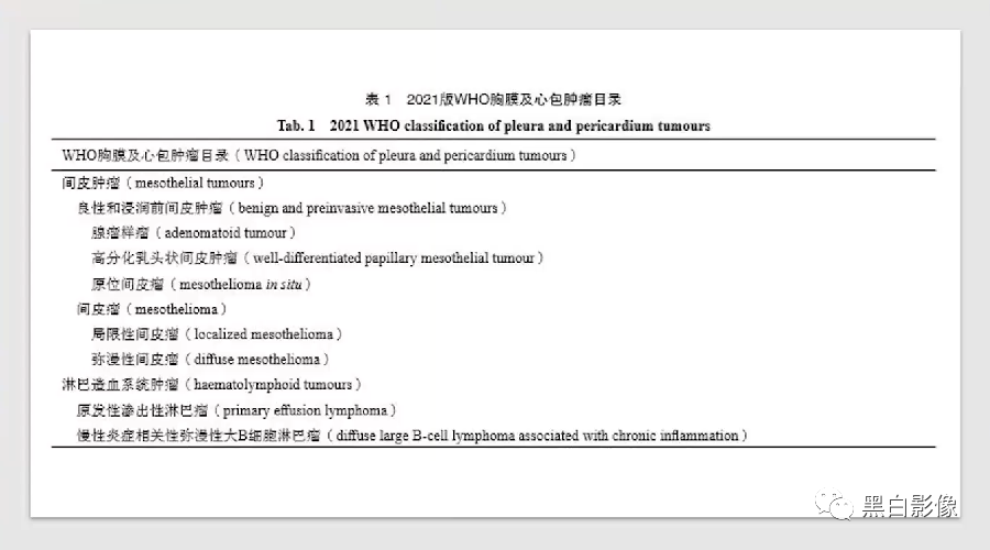 影像PPT - 【PPT】胸膜解剖及胸膜肿瘤影像诊断思路-7