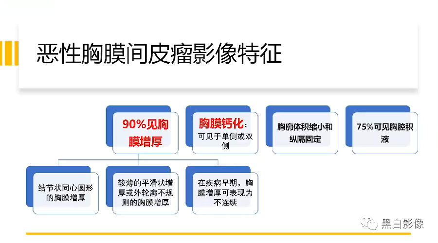 影像PPT - 【PPT】胸膜解剖及胸膜肿瘤影像诊断思路-9