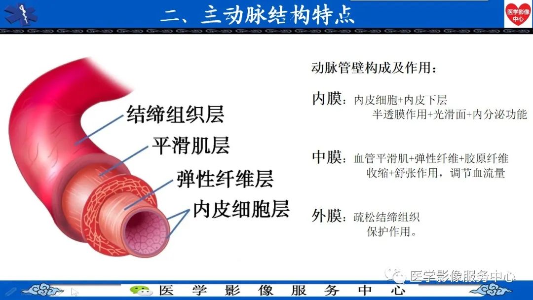 影像PPT - 【PPT】CTA诊断主动脉夹层的内容和征象-18
