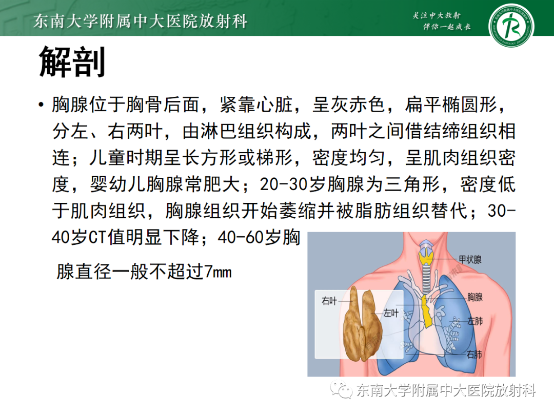 影像PPT - 【PPT】前纵隔胸腺瘤-8
