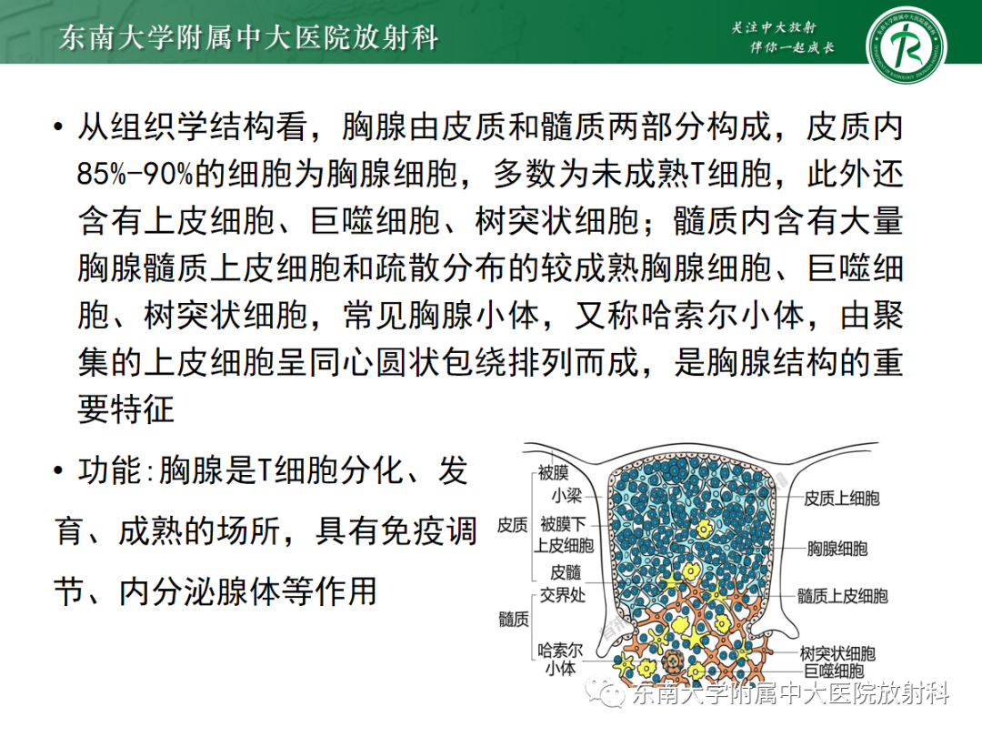 影像PPT - 【PPT】前纵隔胸腺瘤-9