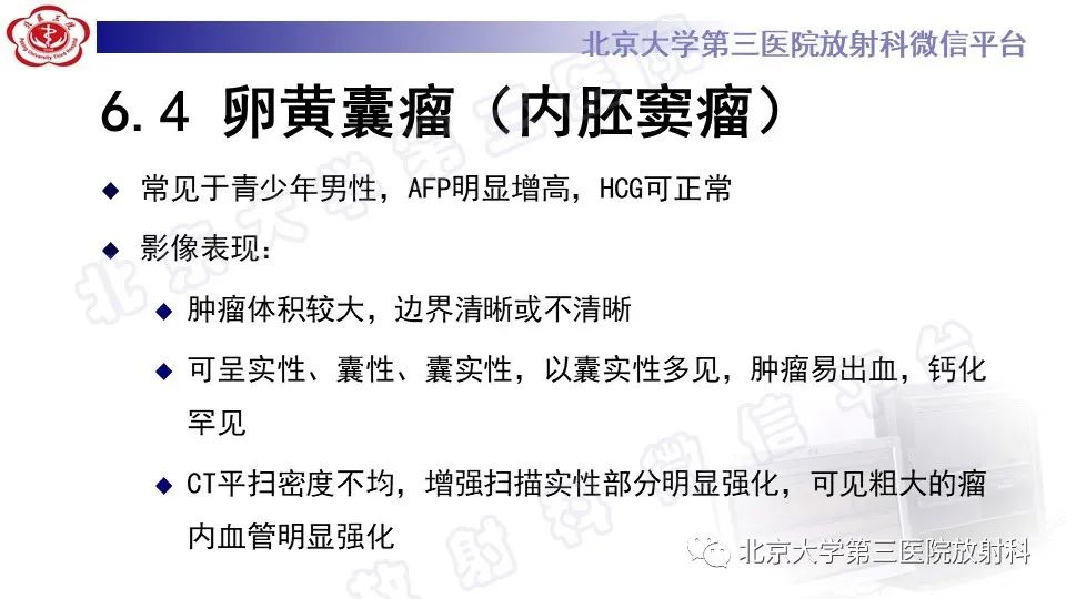 原发性纵隔胚胎性癌-32