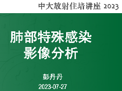 肺部特殊感染影像分析