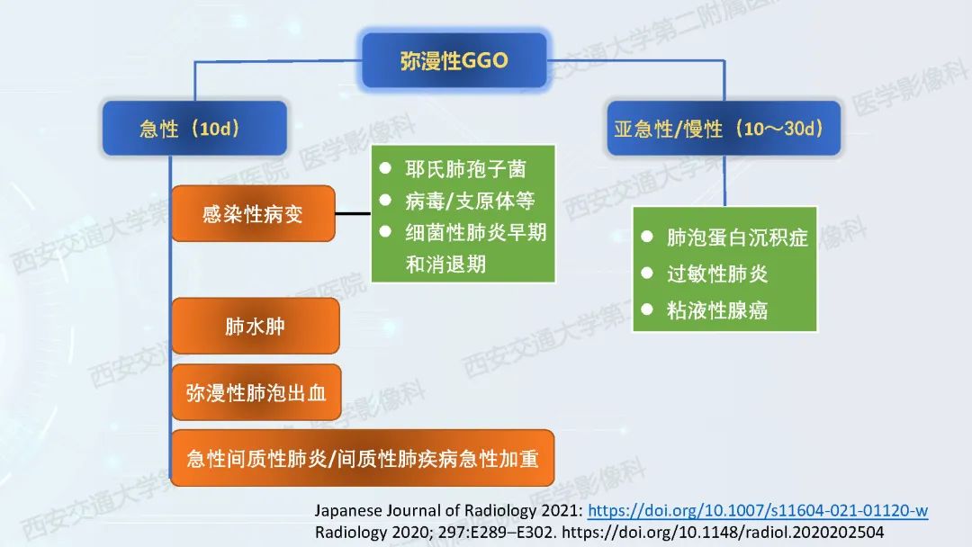 肺部弥漫性GGO的诊断分析-5