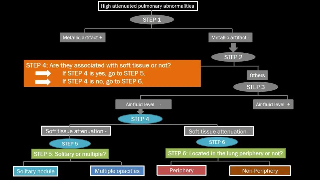 【PPT】肺部CT高密度病变诊断思路-15