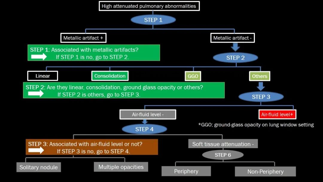 【PPT】肺部CT高密度病变诊断思路-13
