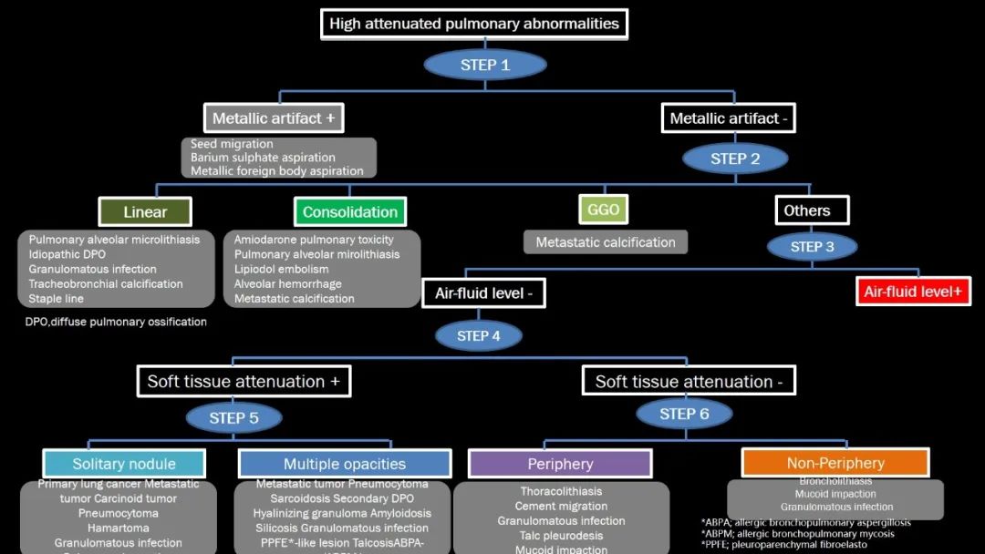 【PPT】肺部CT高密度病变诊断思路-17