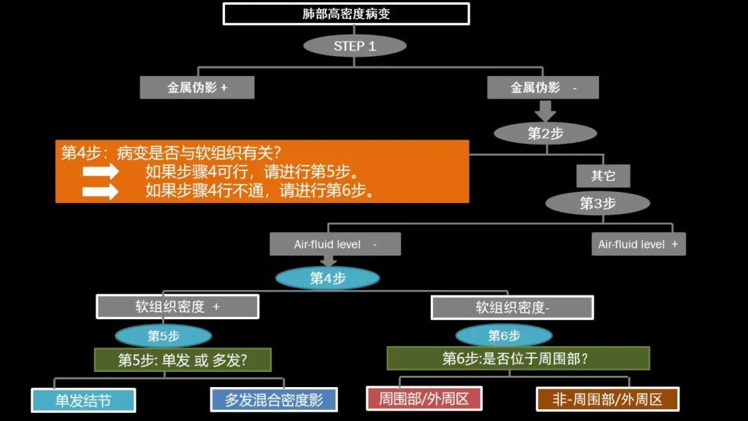 【PPT】肺部CT高密度病变诊断思路-16