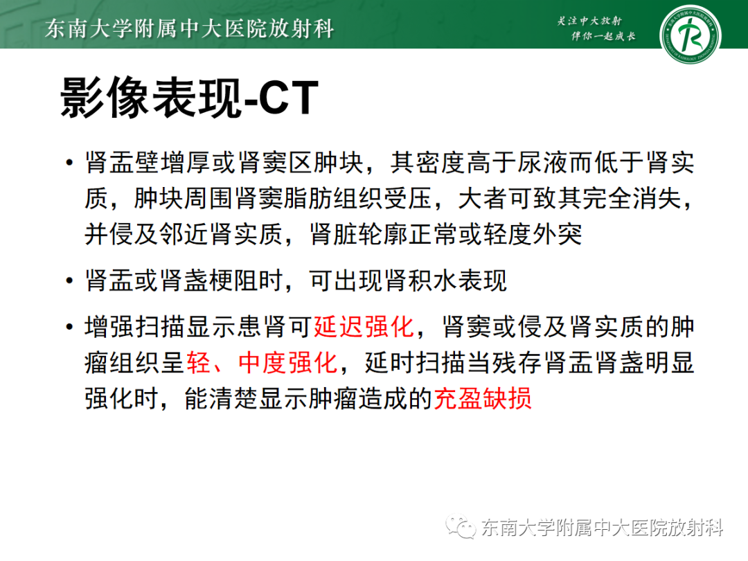 【PPT】肾盂癌-19