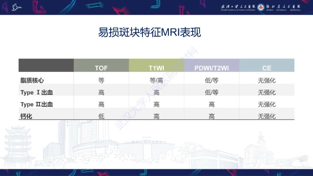 【PPT】颈动脉斑块HR-MR影像判读-24